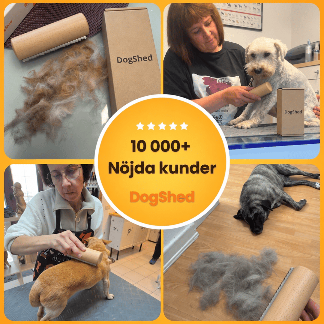 DogShed - Slipp hundhår överallt hemma