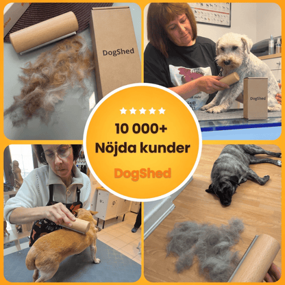 DogShed - Slipp hundhår överallt hemma